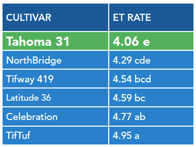 Tahoma 31<sup>