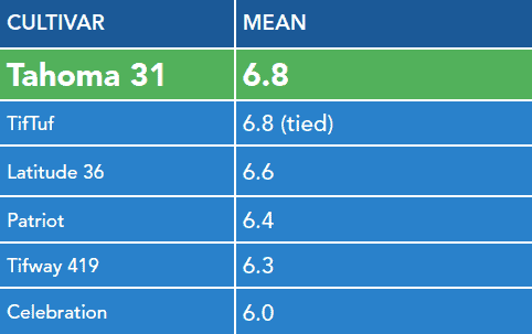 Tahoma 31<sup>