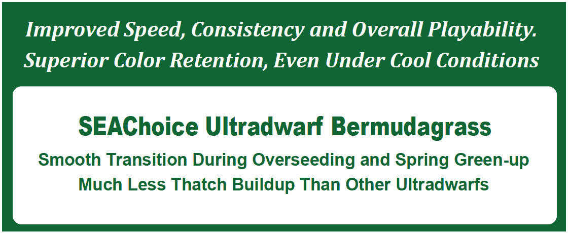 SEAChoice™ Ultradwarf Bermudagrass